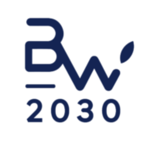 BW 2030